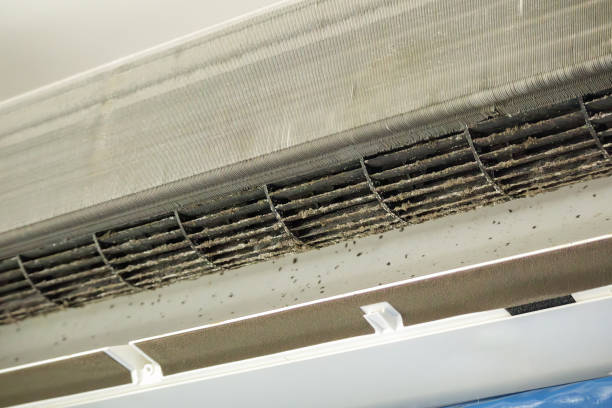 Best Ventilation Cleaning Services  in Minneola, FL